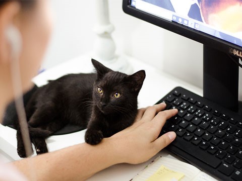 網(wǎng)站建設(shè)對(duì)于企業(yè)來(lái)說(shuō)的作用很大！